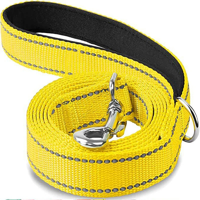 Reflective Leash