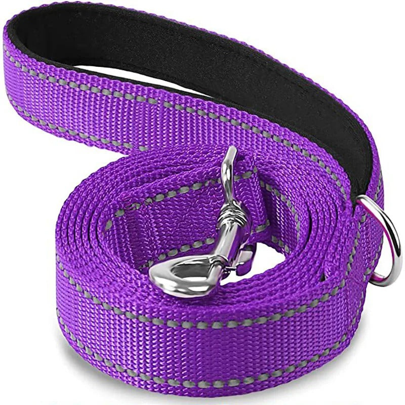 Reflective Leash