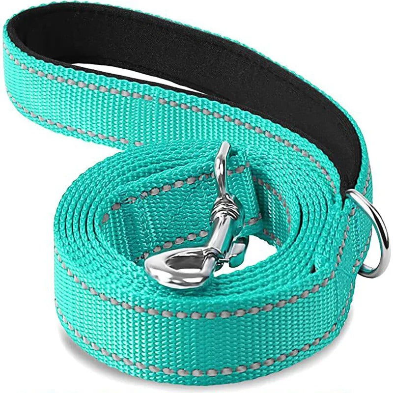 Reflective Leash