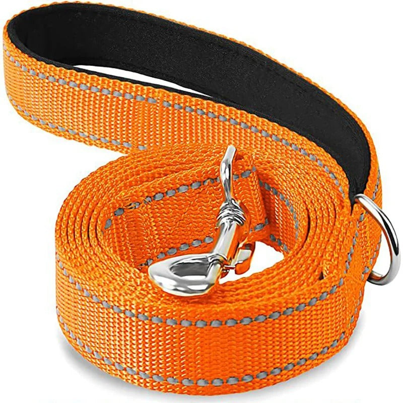 Reflective Leash