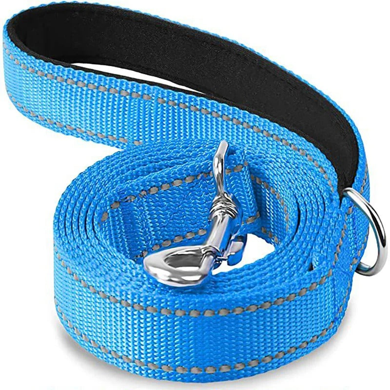 Reflective Leash