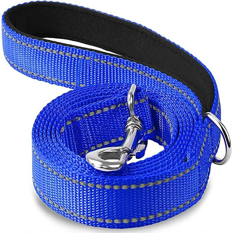 Reflective Leash