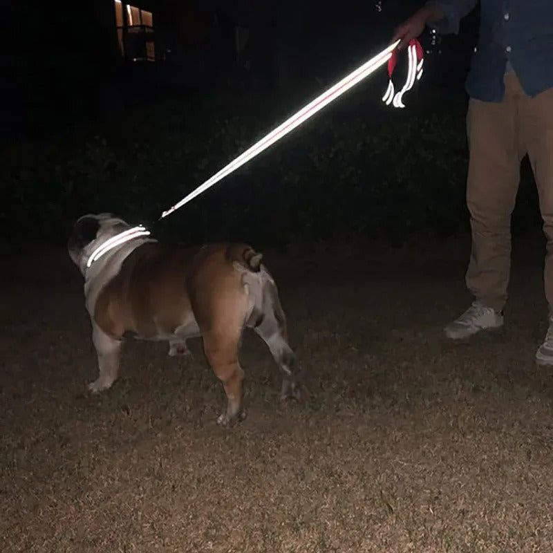 Reflective Leash