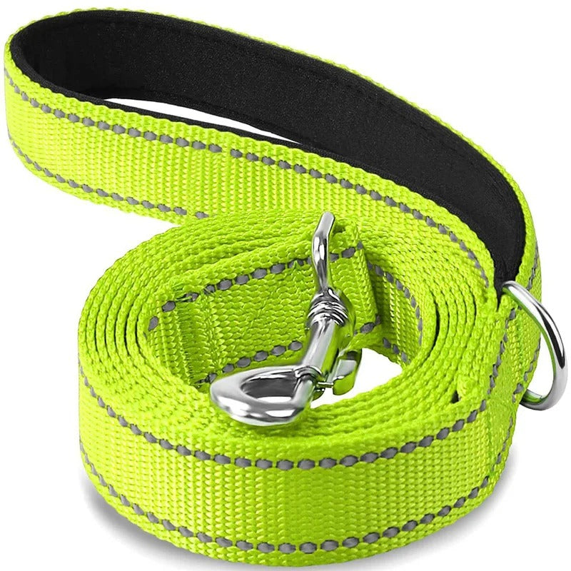 Reflective Leash